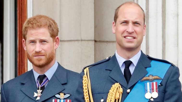 prince harry and william