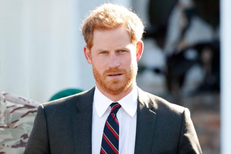 prince harry sussex