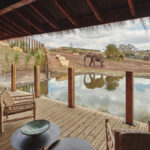 First Ever Safari Lodges Where Elephants Roam Next To Room