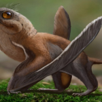 Scientist Compares Newly Discovered Dinosaur to Star Wars Porg