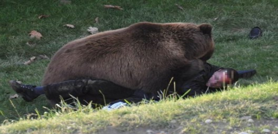 A man is attacked by a bear in Alaska and remains in surgery for more than four hours