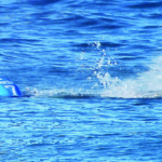 Surfer dies after shark attack in Australia
