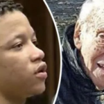 Elderly man is beaten, set on fire and murdered by a neighborhood teenager