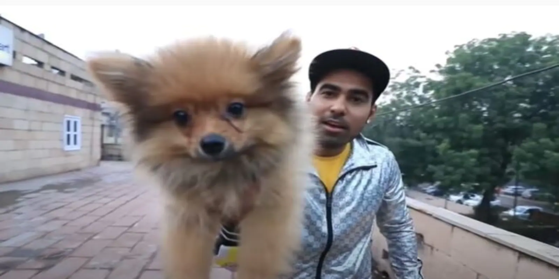 A Youtuber was arrested for experiencing a nasty stunt with his dog