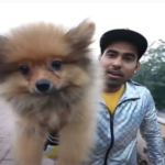 A Youtuber was arrested for experiencing a nasty stunt with his dog