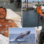 Whale 'swallows' fisherman off Massachusetts