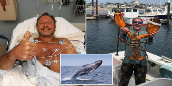 Whale 'swallows' fisherman off Massachusetts