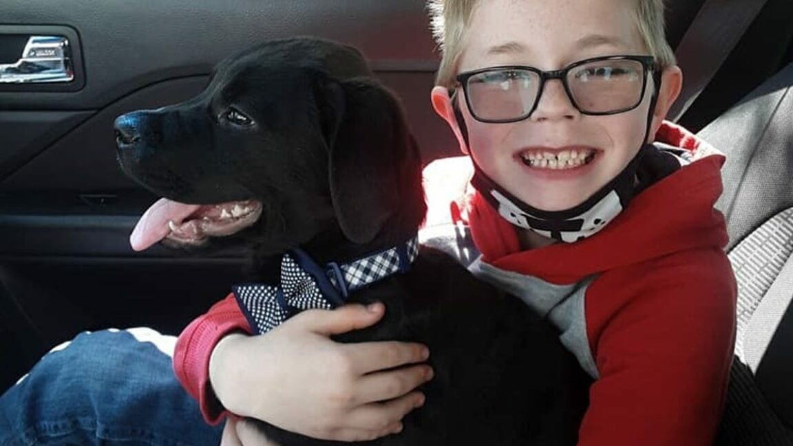 8-year-old Virginia boy sells Pokémon cards to save his sick dog