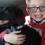 8-year-old Virginia boy sells Pokémon cards to save his sick dog