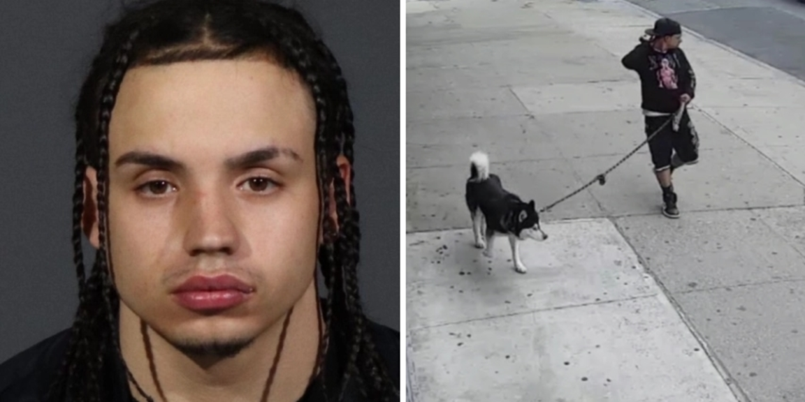 An alleged child predator in Brooklyn has repeatedly used his dog to lure children