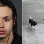 An alleged child predator in Brooklyn has repeatedly used his dog to lure children