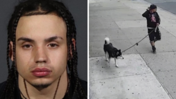 An alleged child predator in Brooklyn has repeatedly used his dog to lure children