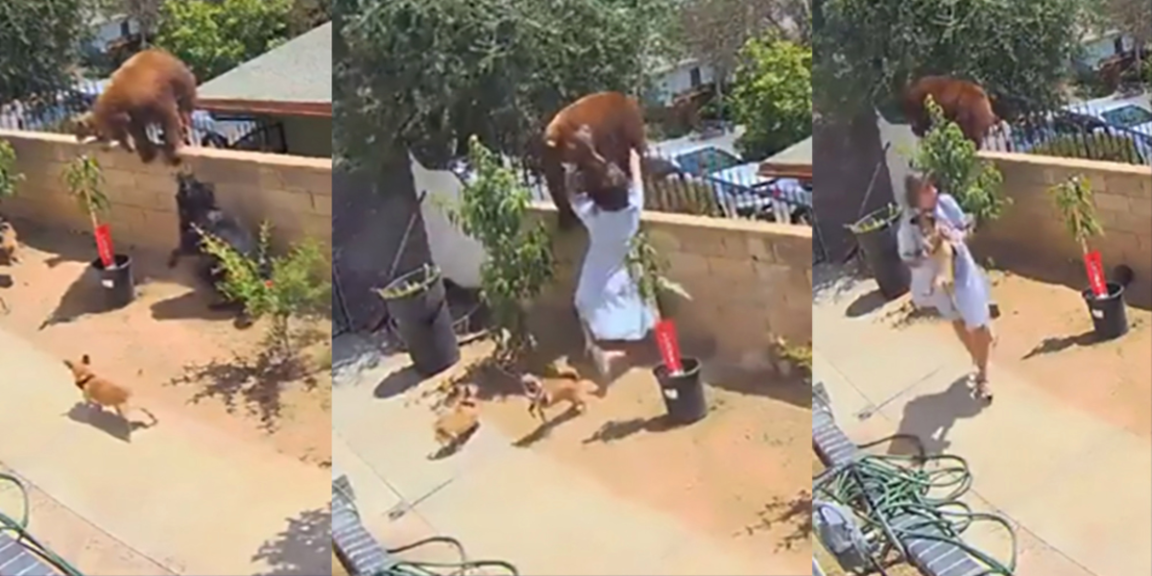Teenage girl fights bear to protect her dogs from animal