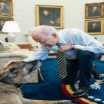 The family of U.S. President Joe Biden announces the death of their beloved dog