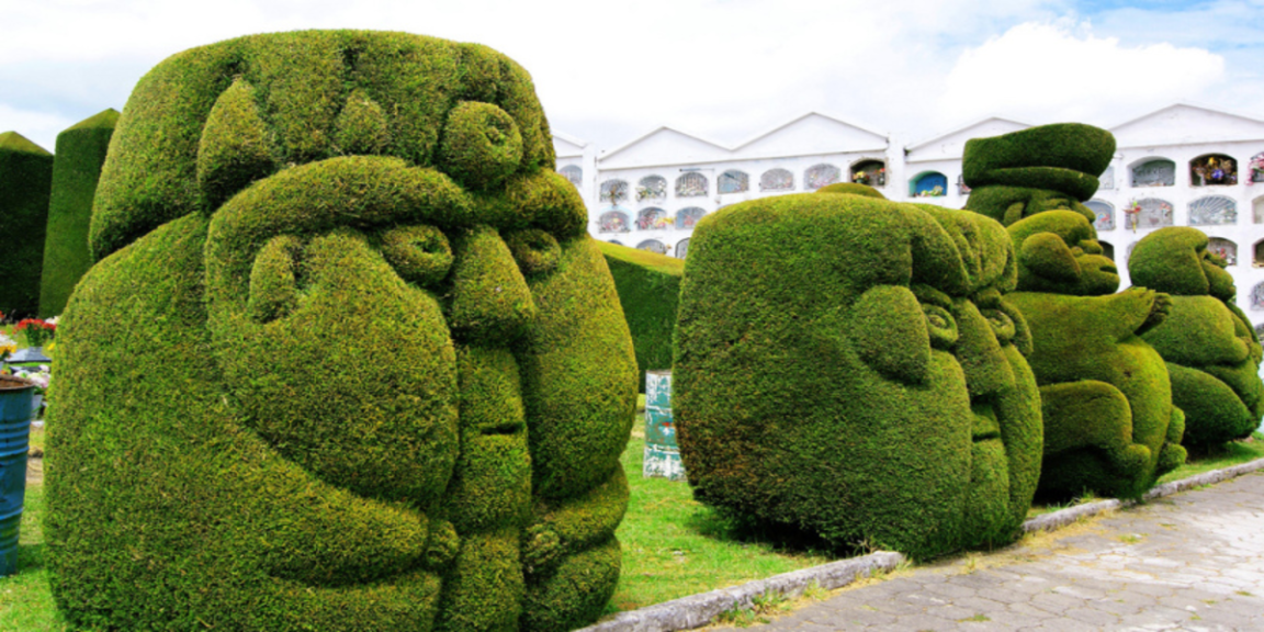 The art of topiary, learn all about the "Topiaria" the art in bushes