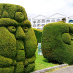 The art of topiary, learn all about the "Topiaria" the art in bushes