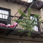 Mother throws 1-month-old daughter, 2-year-old son from second-story window