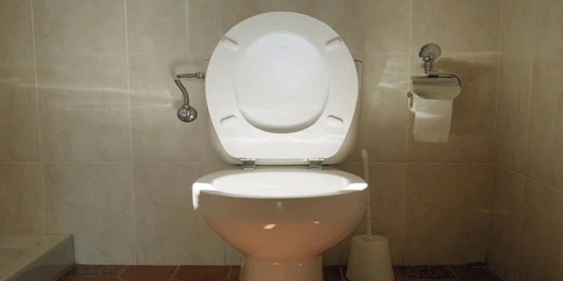 Women demand that trans women in public restrooms stop leaving the toilet seat up