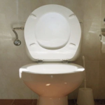 Women demand that trans women in public restrooms stop leaving the toilet seat up