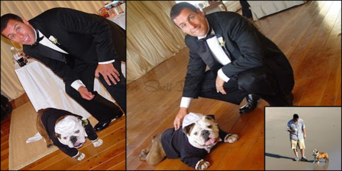 Adam Sandler's dog was his best man at his wedding