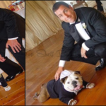 Adam Sandler's dog was his best man at his wedding