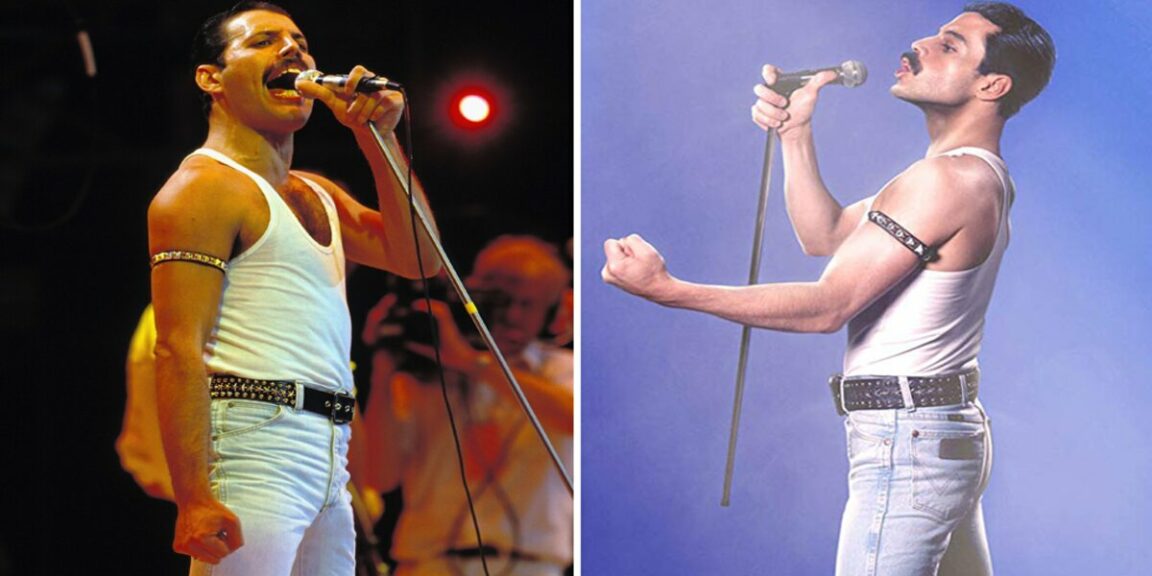 The curiosity of Freddie Mercury that you didn't know and that makes him unique