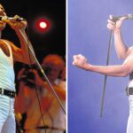 The curiosity of Freddie Mercury that you didn't know and that makes him unique