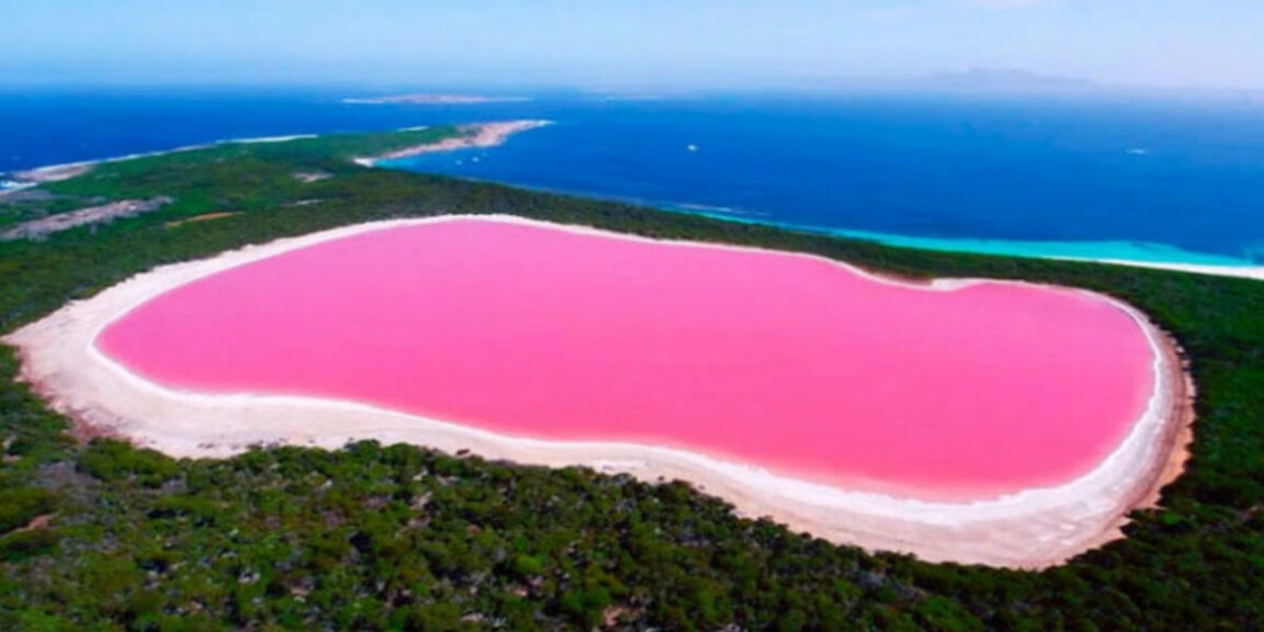 The mysterious pink water of Lake Hillier in Australia