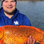 Officials warn to stop throwing goldfish into lakes. 'They grow bigger than you think'