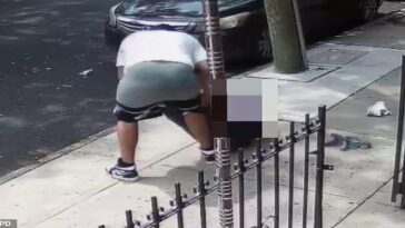 A street robber in New York City loses his pants as he struggles with his victim