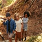 Children discover a well in the forest: this is what was in it