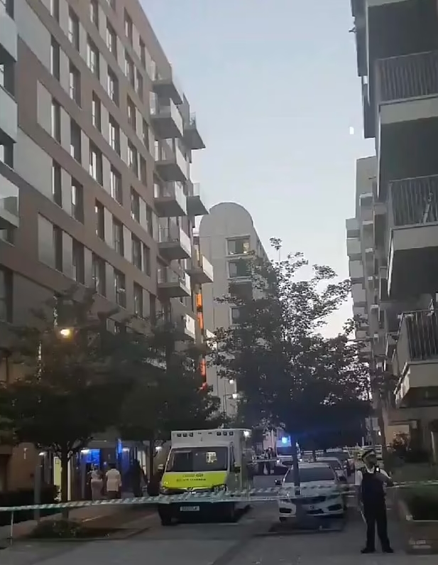 A woman has died after falling from a balcony in Greenwich