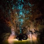 New Zealand: photographer discovers strange creatures in cave