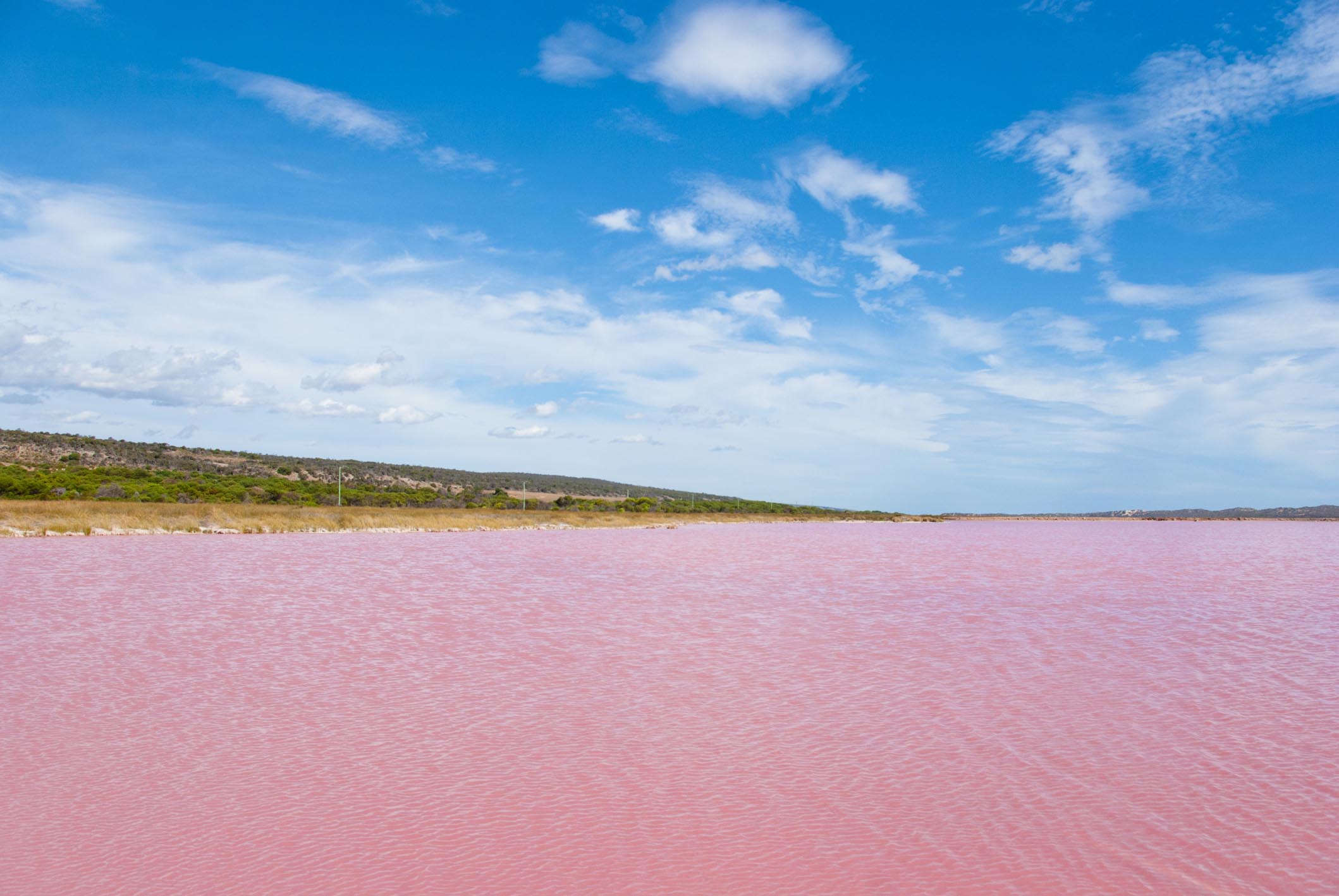 The mysterious pink water of Lake Hillier in Australia