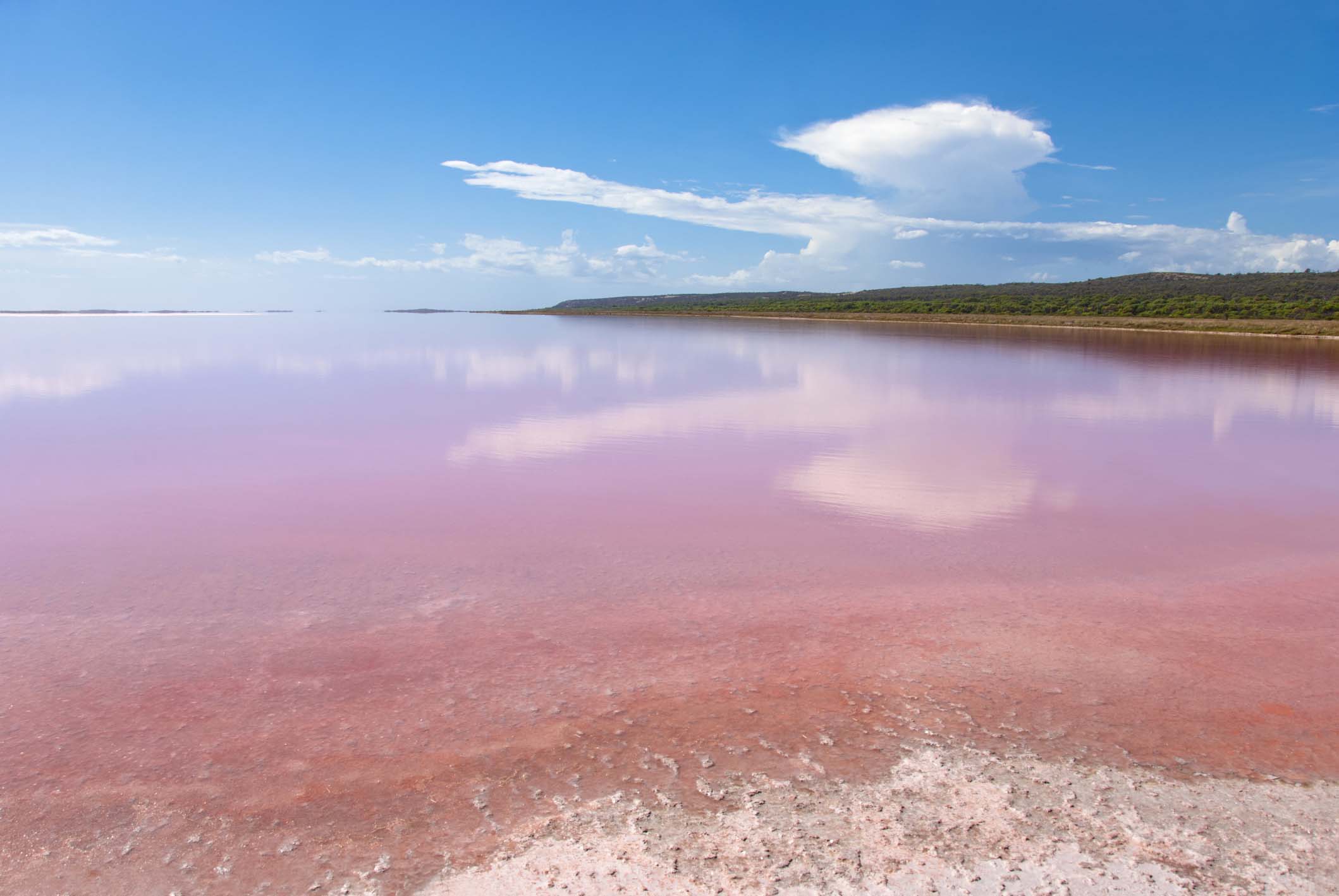 The mysterious pink water of Lake Hillier in Australia