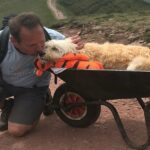 A man takes a dog dying of cancer for one last ride up a mountain in a wheelbarrow