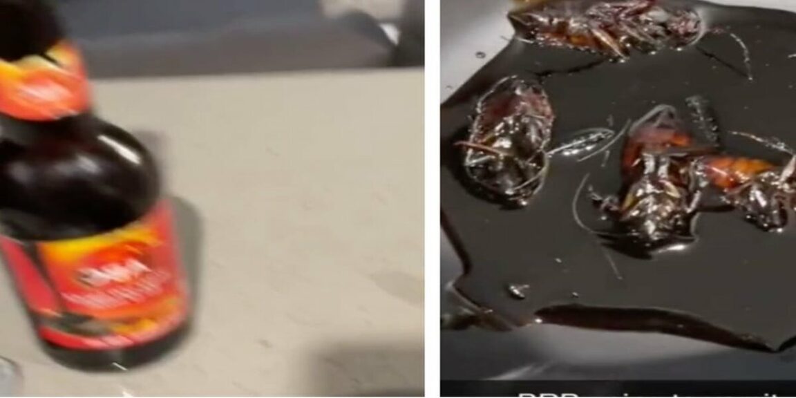 Man 'finds dead cockroaches in his soy sauce bottle' and the Internet explodes