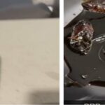 Man 'finds dead cockroaches in his soy sauce bottle' and the Internet explodes