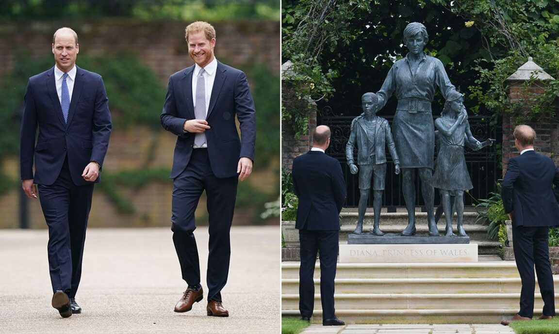 Prince William and Prince Harry unveiled a statue of their late mother, Diana