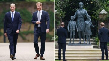 Prince William and Prince Harry unveiled a statue of their late mother, Diana