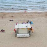 British beach has been evacuated after a shark swam close to shore