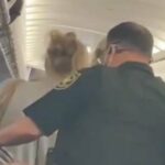 A woman was detained in the United States after lighting a cigarette on a plane