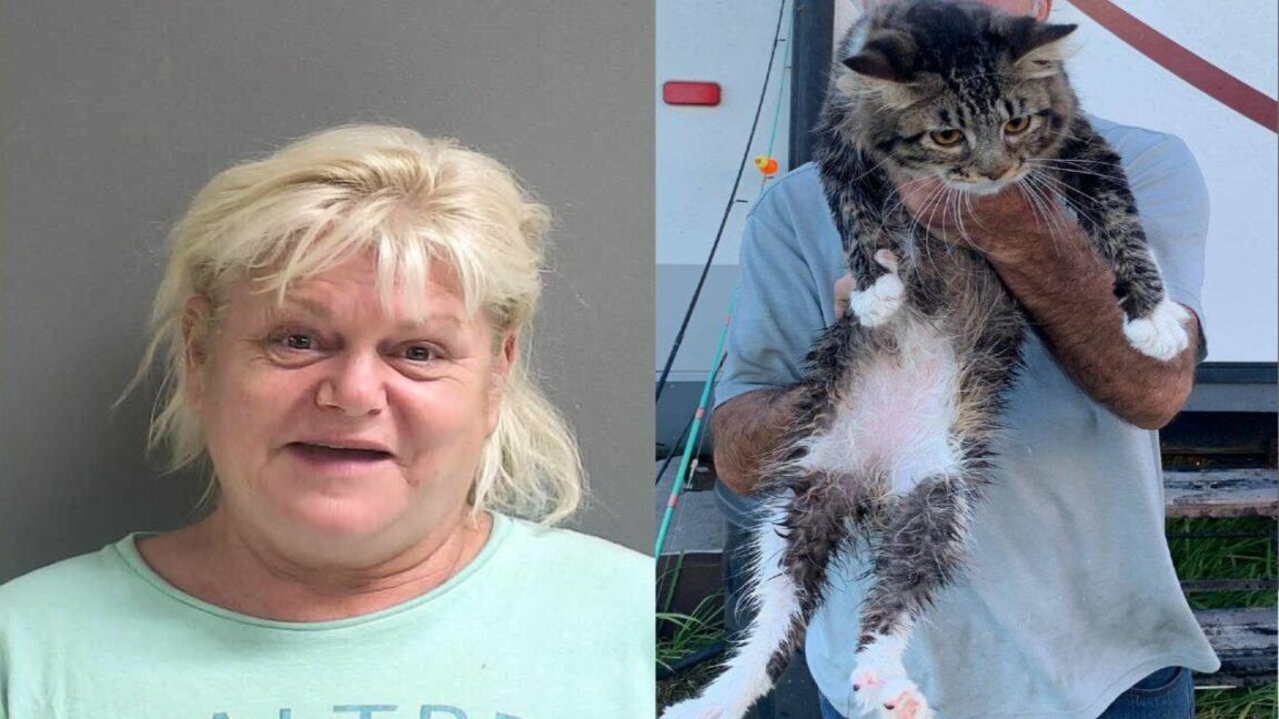 Florida woman arrested for allegedly throwing ex-boyfriend's cat into river after fight