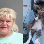 Florida woman arrested for allegedly throwing ex-boyfriend's cat into river after fight