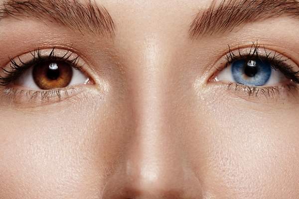 Why do eyes have color? Maybe you've asked yourself this question once