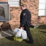 Hungry mother stole 5 eggs to feed her family, cop brings her two truckloads of food instead of arresting her