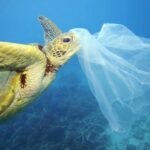 Sea of plastics: how much plastic is in the sea and oceans
