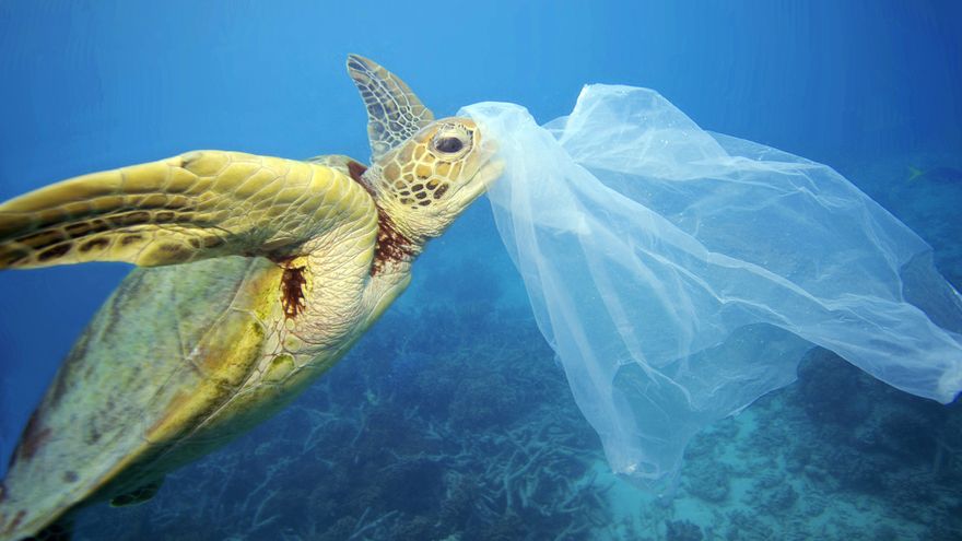 Sea of plastics: how much plastic is in the sea and oceans