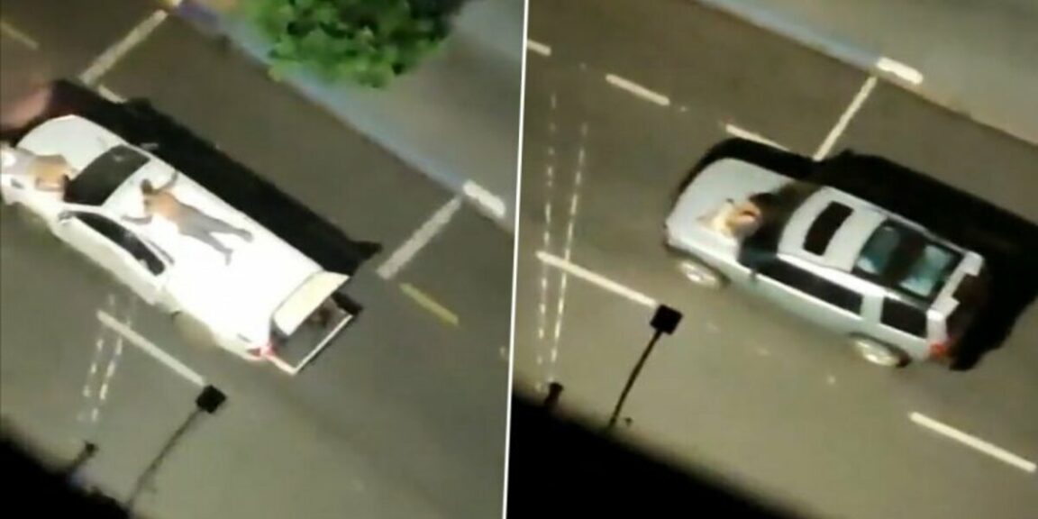 Bank robbers tie up hostages as human shields in their getaway cars in Brazil