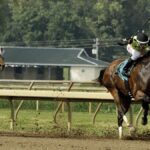 Racehorse runs down Kentucky road after escaping from racetrack